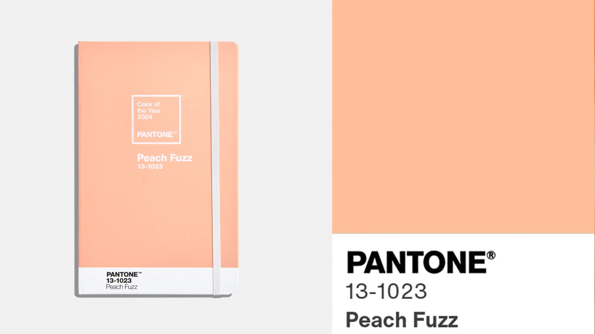 Pantone Peach Fuzz: color of the year 2024